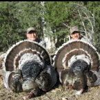 Colburn and Scott